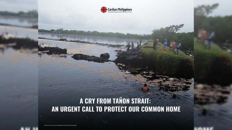 Panagutin ang responsable sa pagkasira ng coral reefs sa Tañon Strait Protected Seascape Philippines