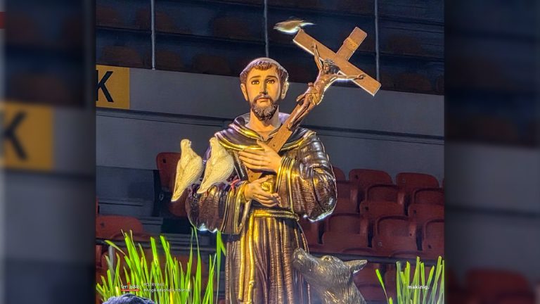 Tularan ang pagbabagong-buhay ni San Francisco ng Assisi, panawagan ni Cardinal David